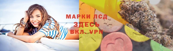 индика Алексеевка