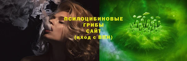 индика Алексеевка