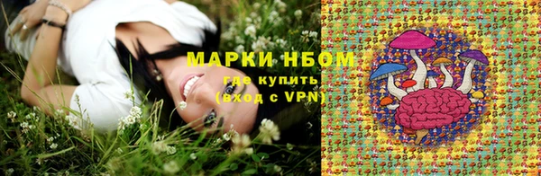 индика Алексеевка