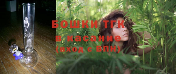 индика Алексеевка