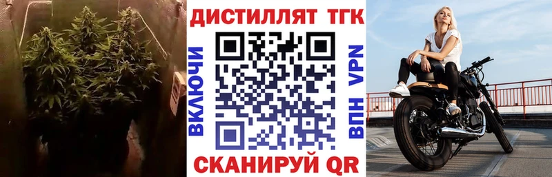купить наркотики цена  Сосновый Бор  Дистиллят ТГК концентрат 
